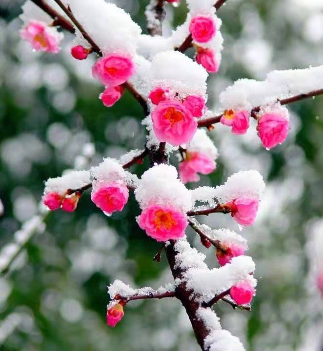 【创研诗词群】诗词精选||总二十八期(图15)
