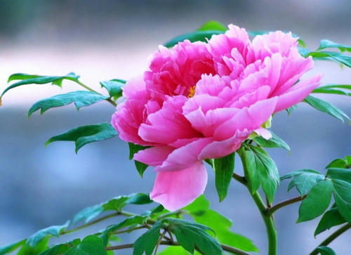 荐赏【神州源流诗苑】总第566期[优秀近体诗]周刊（图12）