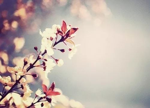 【都市头条向幸福出发编辑部】第192期 痕 文 如月 主播 夏虫语冰（图4）