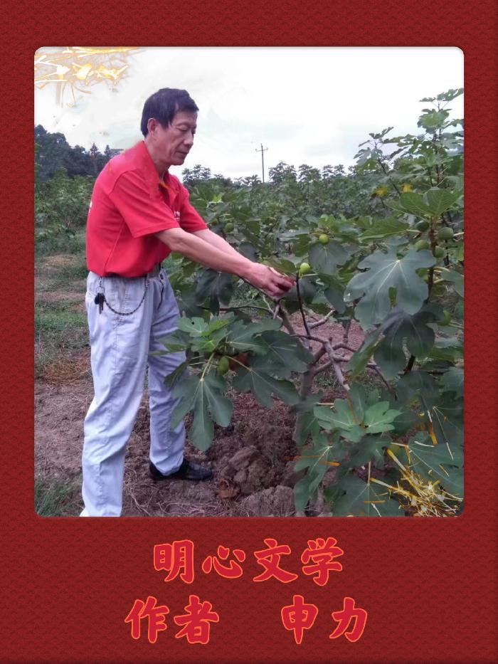 【明心文学】穿行在风景中（组诗）作者/申力 主播/喻芳（图12）