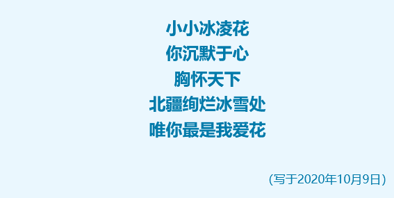 灞忓箷鎴浘 2022-02-22 120010.png