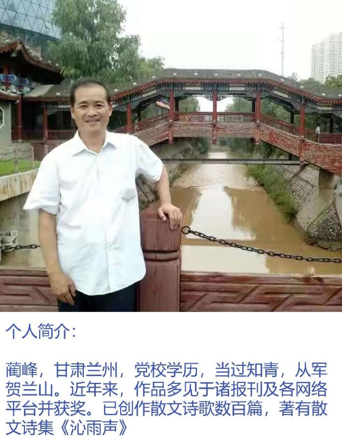 厉害了！我的梦 作者：蔺峰（甘肃兰州）【冰心文化传媒】（图4）