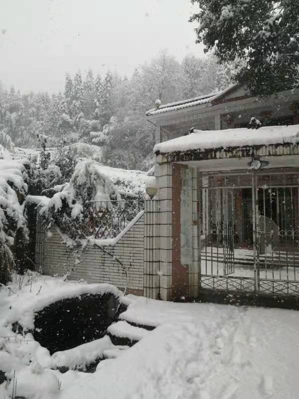 ◼️悼雪/萧水金