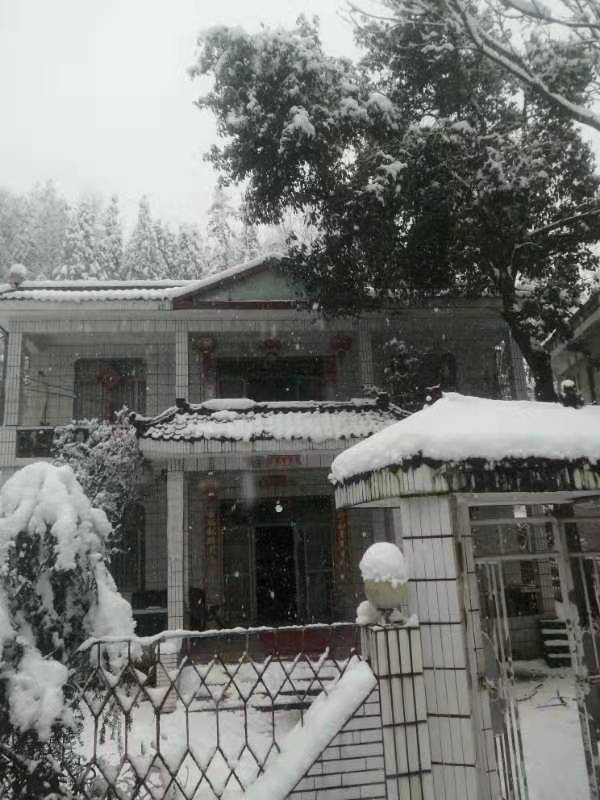 ◼️悼雪/萧水金(图5)