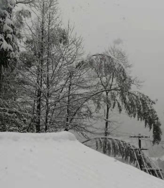 ◼️悼雪/萧水金(图9)