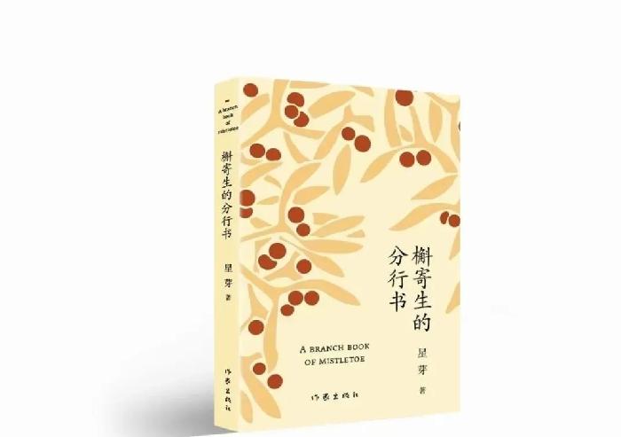 悼念:95后才女诗人星芽，昨日登山遇难（图2）