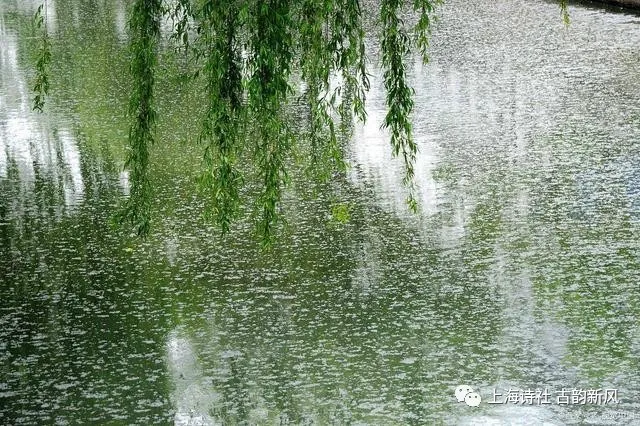 蝶恋花.春情(新韵)作者:王新华(河北)【冰心文化传媒】(图3)