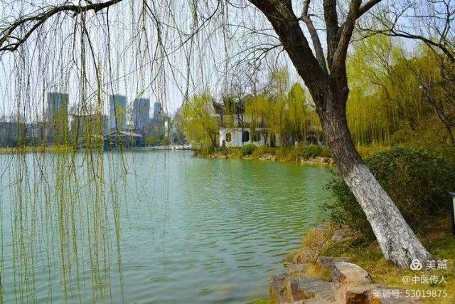 【都市头条向幸福出发编辑部】第195期 初心 文 如月 主播 缨子