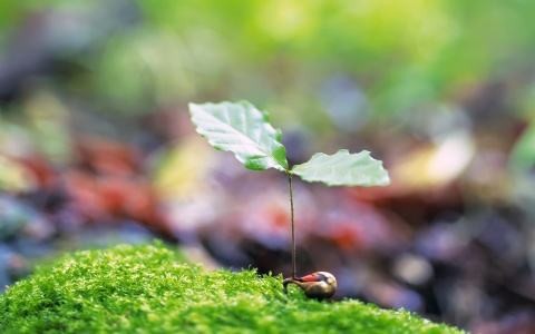 〔诗词小辑〕作者 竹韵(甘肃)【冰心文化传媒】（图6）