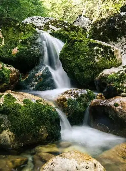 [桃源馨声]溪水淙淙(散文诗)作者:石沉|主播:铁魂[总1072期]（图4）