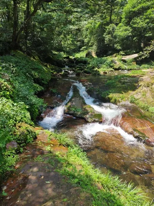 [桃源馨声]溪水淙淙(散文诗)作者:石沉|主播:铁魂[总1072期]（图5）