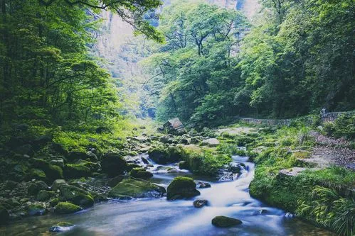 [桃源馨声]溪水淙淙(散文诗)作者:石沉|主播:铁魂[总1072期]（图6）