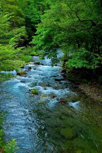 [桃源馨声]溪水淙淙(散文诗)作者:石沉|主播:铁魂[总1072期]（图7）