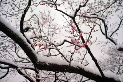 江南诗絮-0502【现代诗苑】(图8)