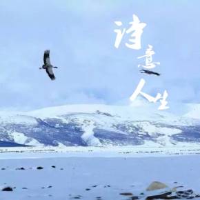 【新山东文学社】《人生，要有诗意》作者/刘桂荣 主播/清风（图7）