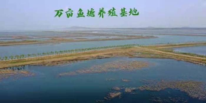 联机全球发布鹿鸣朗诵的刘晓平精品诗歌——《辉煌康大人》（图5）