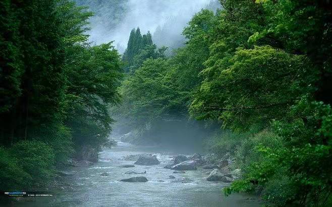 都市头条 长春头条—树联——林业的春天 作者/张元馨 主播/胡长有(图3)