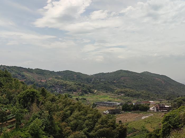 心尘文艺(图4)
