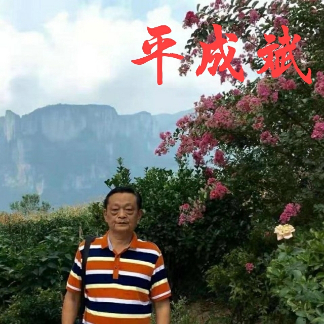 平成斌壬寅年初春诗汇