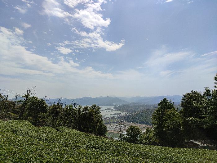 平成斌壬寅年初春诗汇（图2）