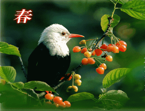 长春诗歌两首《江南咏怀》主播：雪绣冰绮 编辑：香乡【北疆头条】（第164期）（图11）