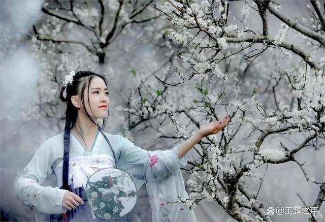 五绝四首（新韵）作者:王新华（河北）【冰心文化传媒】（图5）