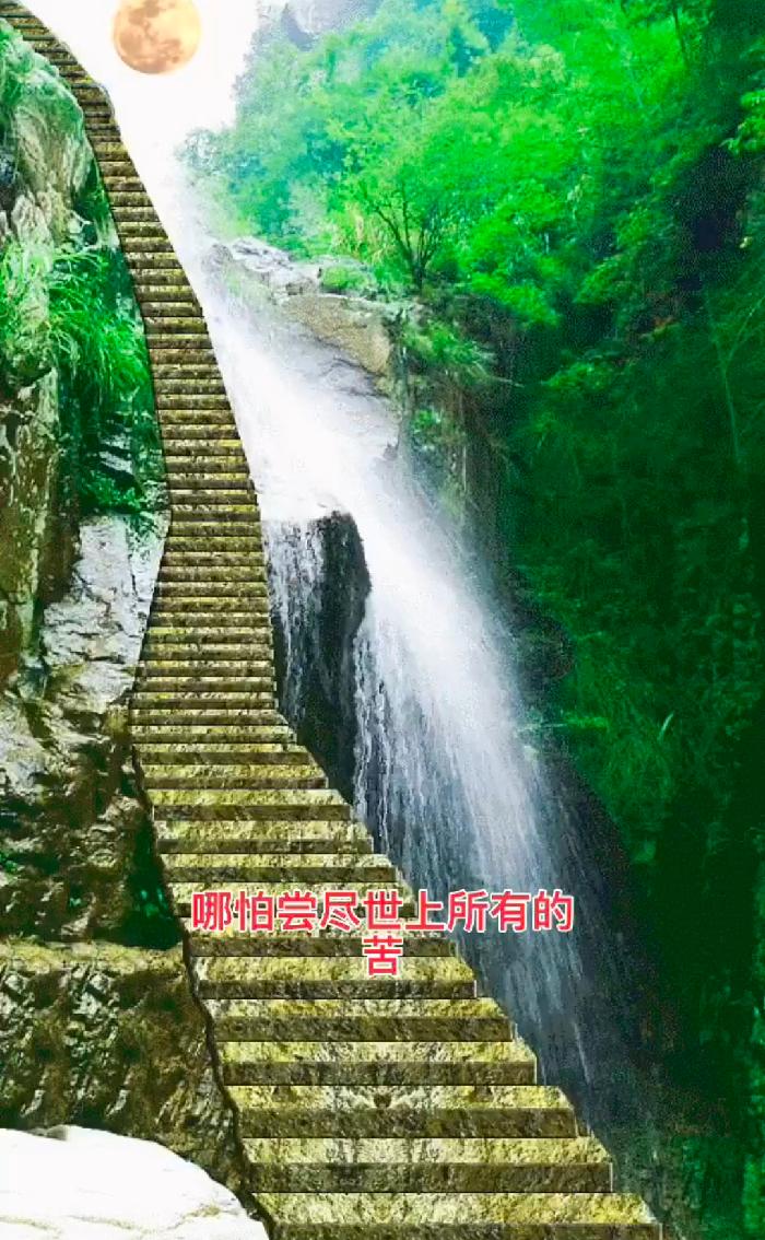 我的孤独也许你永远不会懂 ：作者 天慧｜海外头条（图8）