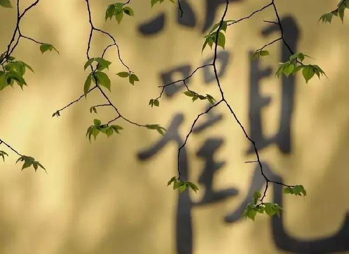 爱 岗 小 议 文/苏州漫
