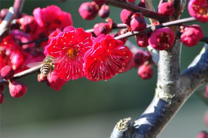 《中国爱情诗刊》 【中国爱情诗人档案】(第4224期)贵州诗人:何舒的诗(图4)
