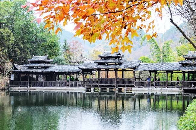 (中国)桂林灵川诗词协会欢迎黄小甜女士桂林访问|众诗家与韵芘胡桂芹遐思(图22)