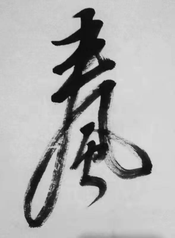 (中国)桂林灵川诗词协会欢迎黄小甜女士桂林访问|众诗家与韵芘胡桂芹遐思(图18)