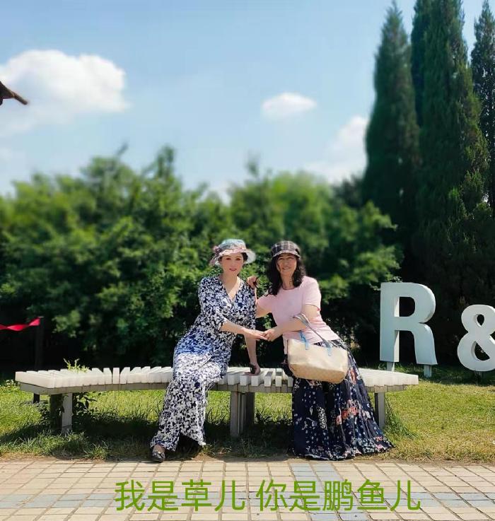 《相聚：世界诗会姐妹相聚》文/润草 鹏鱼儿【世界诗人名人展】（8003）（图3）