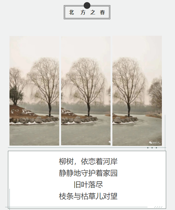 灞忓箷鎴浘 2022-02-24 165427.png