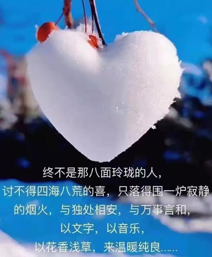 我的孤独也许你永远不会懂 :作者 天慧|海外头条(图2)