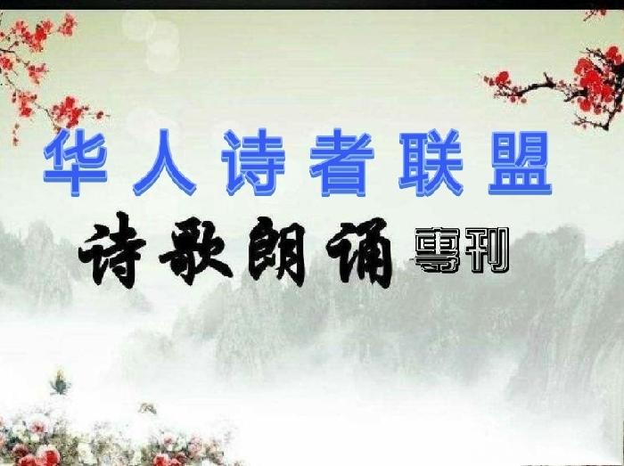 《理想的我》作者: 杨丽琴【诵读: 金牌主播 青草味儿】【华人诗者联盟】为你诵读专属的诗♬（图2）