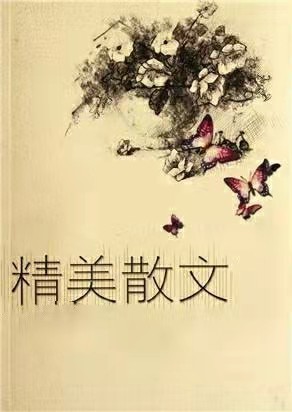 《理想的我》作者: 杨丽琴【诵读: 金牌主播 青草味儿】【华人诗者联盟】为你诵读专属的诗♬(图6)