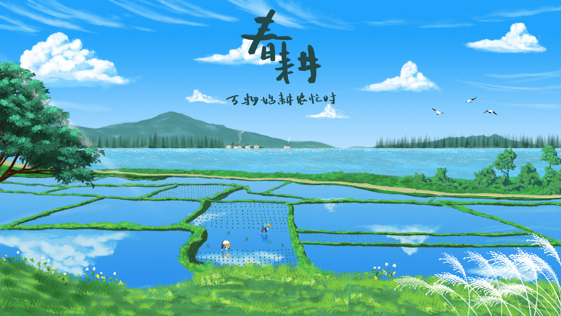 鎽勫浘缃慱400117952_banner_鏄ヨ?曪紙闈炰紒涓氬晢鐢級.jpg