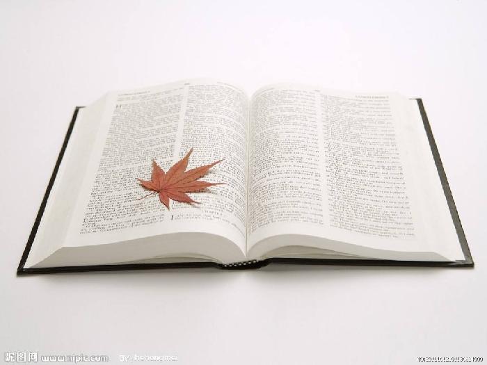 〔歌词小辑〕作词/刘志军（河北）【冰心文化传媒】（图9）