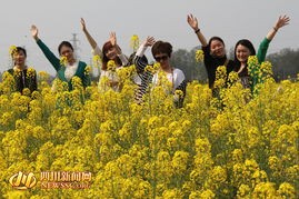 湖北文化名人乡音：《爱在春天里（19—23）》（图5）