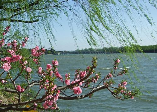 【九江文学社：北京头条】尹连荣老师（天津）佳作欣赏（图4）