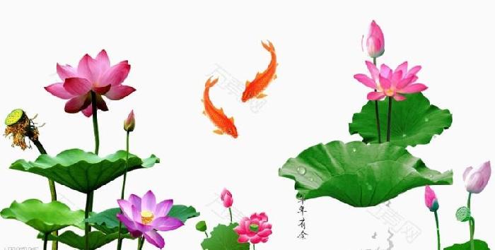 【九江文学社：北京头条】尹连荣老师（天津）佳作欣赏（图5）