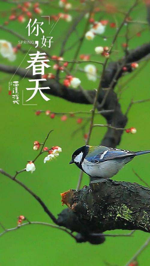 春之歌。作者/刘希东(图2)