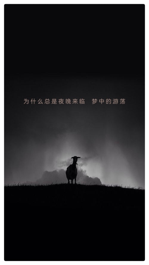 老男孩诗歌《诗之死亡》播音指导江昊 金话筒奖得主怡霖联袂诵读——全世界第一次为诗之死亡发布讣告（图4）