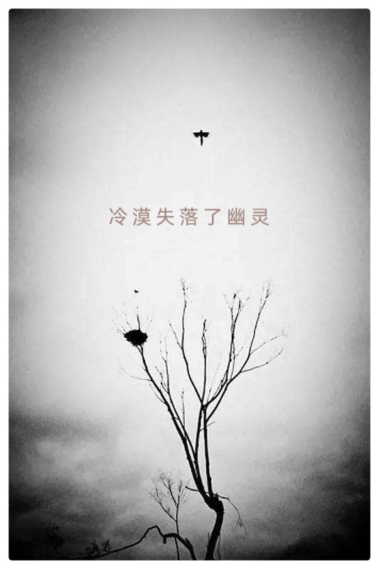 老男孩诗歌《诗之死亡》播音指导江昊 金话筒奖得主怡霖联袂诵读——全世界第一次为诗之死亡发布讣告（图6）