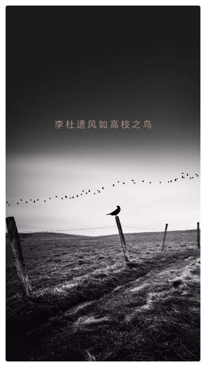 老男孩诗歌《诗之死亡》播音指导江昊 金话筒奖得主怡霖联袂诵读——全世界第一次为诗之死亡发布讣告（图5）