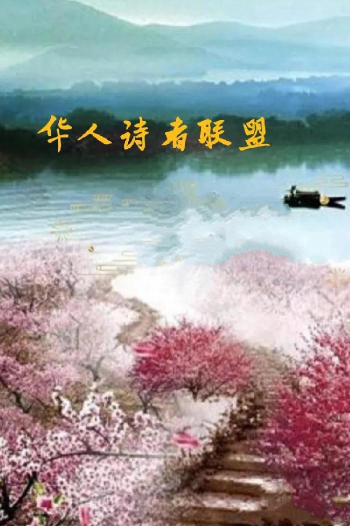 《白鹭》作者: 若槃【诵读:金牌主播 寒烟】【华人诗者联盟】[诗者★雅声]总第二百三十六期
