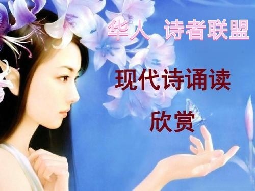 《白鹭》作者: 若槃【诵读:金牌主播 寒烟】【华人诗者联盟】[诗者★雅声]总第二百三十六期（图4）