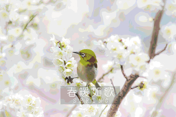 七绝四首（新韵）作者:王新华（河北）【冰心文化传媒】（图5）
