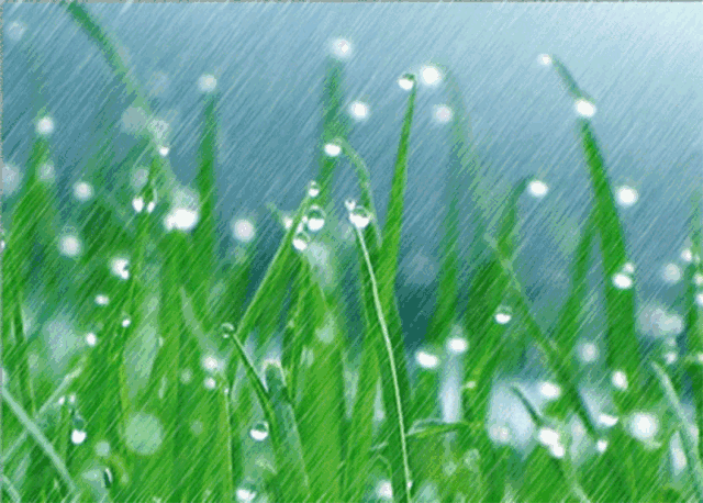 【潇湘文学社】潇湘如兰诗社《雨水》(总272期)(图7)