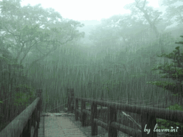 【潇湘文学社】潇湘如兰诗社《雨水》(总272期)(图8)